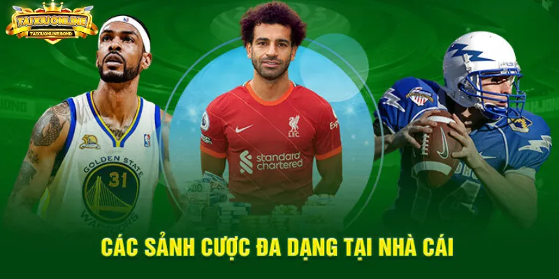 Thể Thao 86bet Khám Phá Sảnh Cược Triệu Lượt Chơi